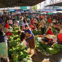 Market gardening in Laos