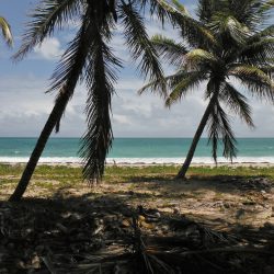 3544 - Feinschmeckerspaziergang im Herzen von Madinina - 1