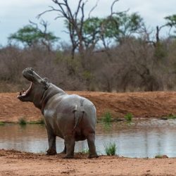 3650 - MEINE ERSTEN SCHRITTE IN SÜDAFRIKA - 1