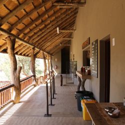 CENTRO DE REHABILITACIÓN PARA VOLUNTARIOS EN SUDÁFRICA