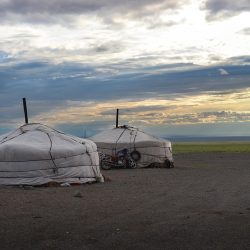 Du désert aux steppes nomades