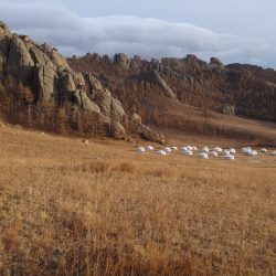 Du désert aux steppes nomades