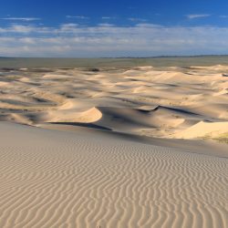 Del desierto a la estepa nómada