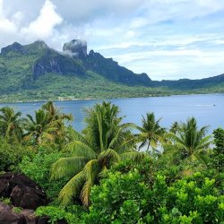 mountain and sea