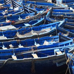 3712 - Voyage Eté, Randonnée Chamelière au fil de l’eau - 1