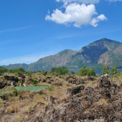 Ecotourisme à Bali