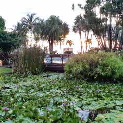 Natur Sonnenuntergang Polynesien