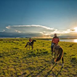 From the desert to the nomadic steppes