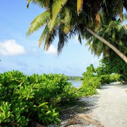 LAS MALDIVAS DE FORMA DIFERENTE ISLA HURAA