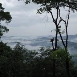 3582 - Ayurvedakur im Chamundi Hill Palace - 1