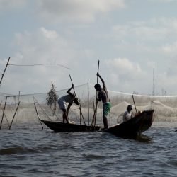 3574 - Couleurs du Sud-Bénin - 1