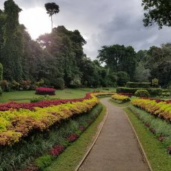 Le Sri Lanka à petit pas