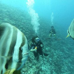 Maldives Autrement Guesthouse