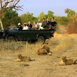 SUDÁFRICA Safaris y yoga