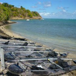 3599 - From adventure to discovery in Martinique - 1