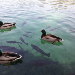 Paseos por la naturaleza y descubrimientos