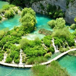 Paseos por la naturaleza y descubrimientos