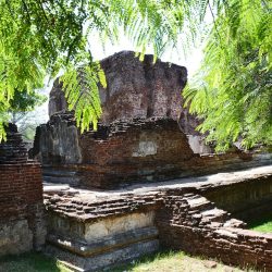 Tour alla scoperta dello Sri Lanka