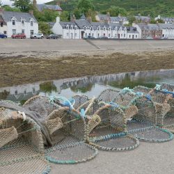 Ecosse pèches