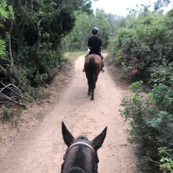 RANCH PALOMBAGGIA CORSICA paseo a caballo