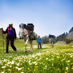 AVVENTURA FAMILIARE MULTIATTIVITÀ VERCORS