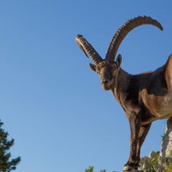 AVENTURE MULTIACTIVITE EN FAMILLE VERCORS