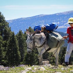 small nomads in dios country