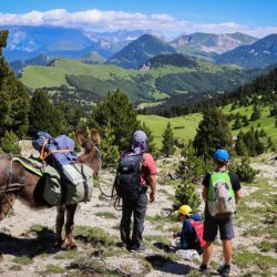 petits nomades en pays dios