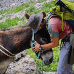 petits nomades en pays dios