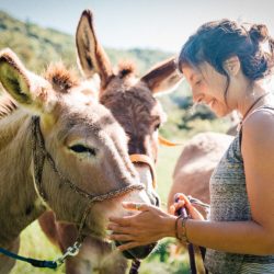 Donkey hug