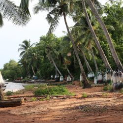 3574 - Couleurs du Sud-Bénin - 1