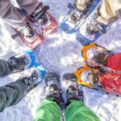 PROGRAMMA DI ESCURSIONI CON LE RACCHETTE DA NEVE CHARTREUSE