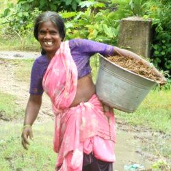 3708 - Volontariat en Inde du Sud au sein de la Tribu Irula - 1