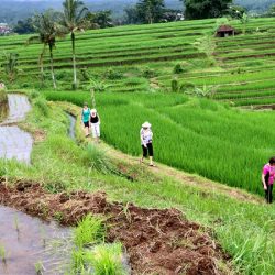 Balinese Spirituality