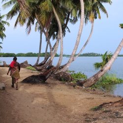 3550 - Bénin entre Monts et Merveilles - 1