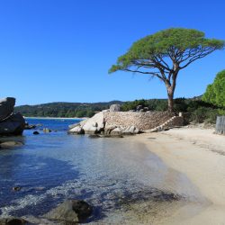 RANCH PALOMBAGGIA CORSICA