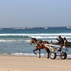 3515 - Discovering Senegal through ICD Afrique projects - 1