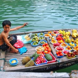 Vietnam de Norte a Sur