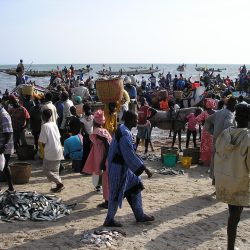 3515 - A la découverte du Sénégal autour des projets d’ICD Afrique - 1