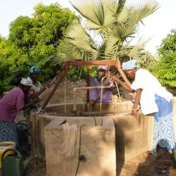 3515 - A la découverte du Sénégal autour des projets d’ICD Afrique - 1