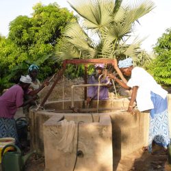 3515 - Descubrir Senegal a través de los proyectos del ICD Afrique - 1