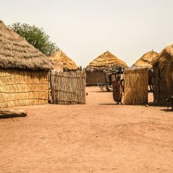 3515 - Discovering Senegal through ICD Afrique projects - 1