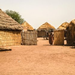 3515 - Entdecken Sie den Senegal rund um die Projekte von ICD Afrika - 1