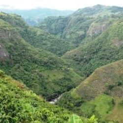 3530 - Au cœur de la Colombie : La terre colombienne - 1