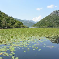 TOURISME SOLIDAIRE AU MONTENEGRO