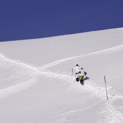 PROGRAMME QTOUCG RAQUETTE CHARTREUSE snow-3062743_1920
