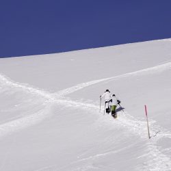 PROGRAMA DE RAQUETAS DE NIEVE CHARTREUSE