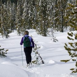 PROGRAMME QTOUCG RAQUETTE CHARTREUSE snow-shoeing-1393045_1280