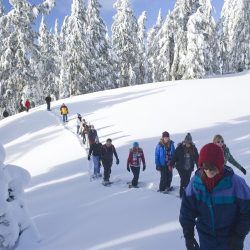 PROGRAMMA DI ESCURSIONI CON LE RACCHETTE DA NEVE CHARTREUSE