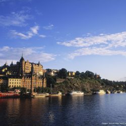 3696 - Stockholm nature - 1